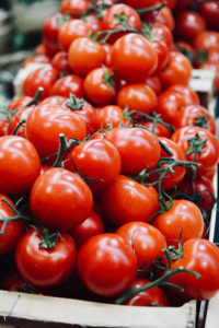 Pomodori agricoltura biologica Bologna